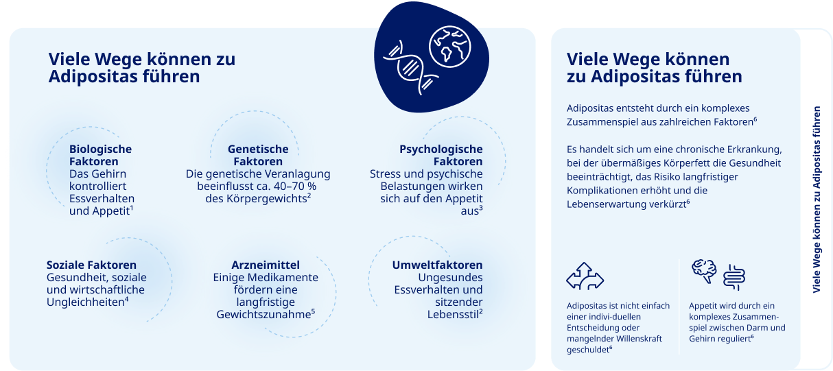 Einfluss von Ubergewicht